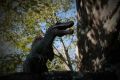 �������� ���������� �� ������������ �������