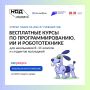 Амурчане, кого записать? На Госуслугах открылась запись на бесплатные курсы программирования для подростков