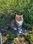 Лето, мы будем скучать.
.
#утренний_кот_от_читателей_АП