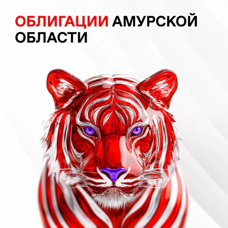 Народные облигации Амурской области 2026: главное о новом выпуске Народные облигации Амурской области 2026: главное о новом выпуске
