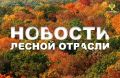 Мангазея: Лесопатологи завершили обследования лесных насаждений в Карачаевском лесничестве Карачаево-Черкесской Республики