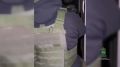 � ��������� ������ ������ � ���������� �����-�������, ������������ ������� ���������� ������������