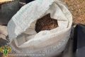 � ����������� ������������� ������ ������������ � �������� ������������� ������� ���������� �������� ������ ������ ��� �������� ������