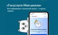 Как приложение «Госуслуги Моя школа» поможет амурчанам в новом учебном году — рассказываем