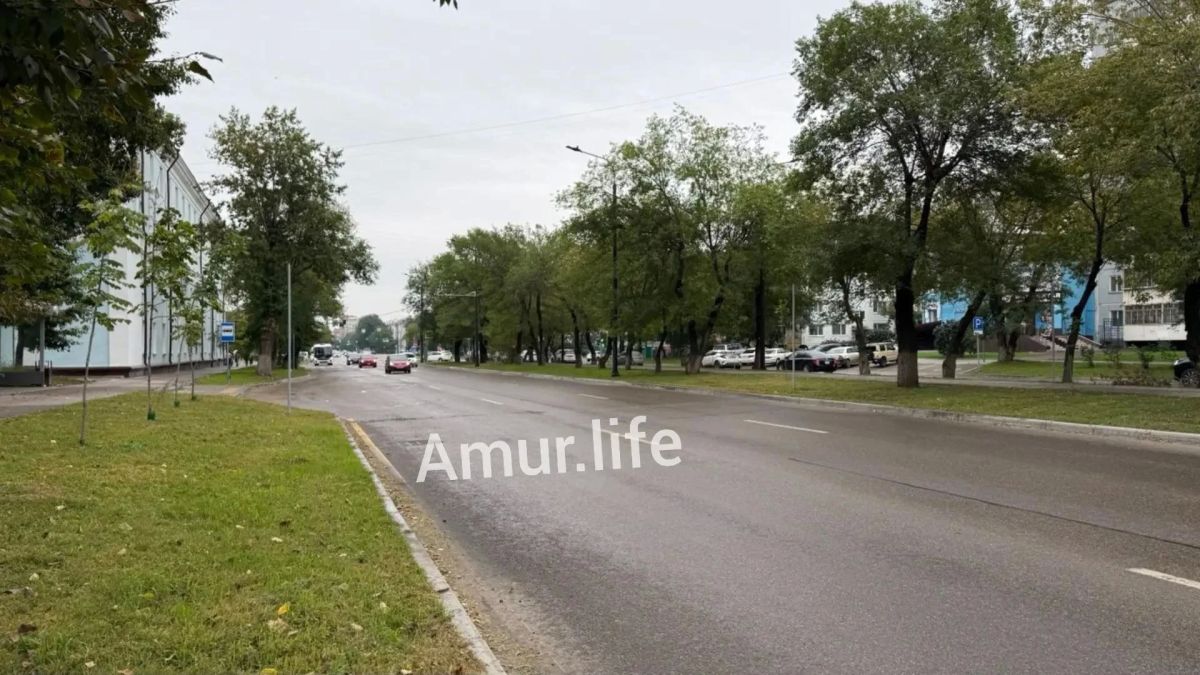 В воскресенье, 6 сентября, с улицы Горького и Калинина в Благовещенске исчезли недавно установленные лежачие полицейские В воскресенье, 6 сентября, с улицы Горького и Калинина в Благовещенске исчезли недавно установленные лежачие полицейские