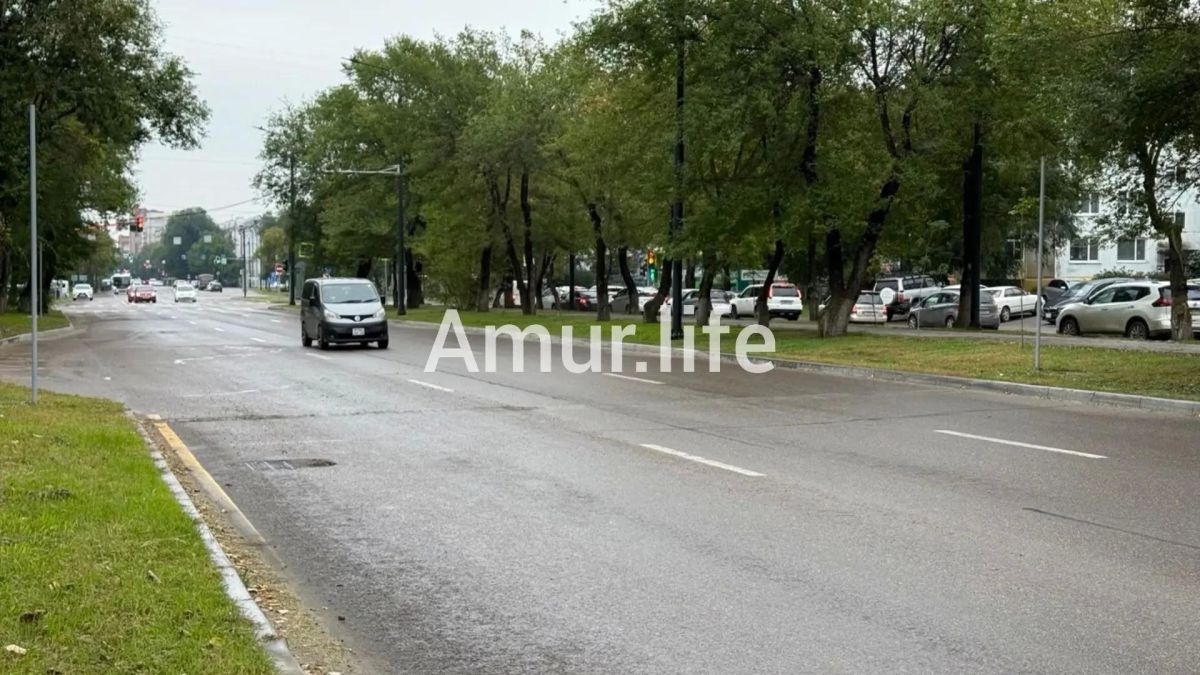 В воскресенье, 6 сентября, с улицы Горького и Калинина в Благовещенске исчезли недавно установленные лежачие полицейские В воскресенье, 6 сентября, с улицы Горького и Калинина в Благовещенске исчезли недавно установленные лежачие полицейские