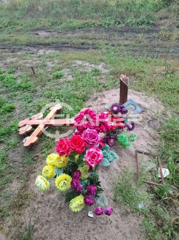 В редакцию Amur.life обратились жители села Волково, которых возмутил вопиющий факт вандализма на кладбище В редакцию Amur.life обратились жители села Волково, которых возмутил вопиющий факт вандализма на кладбище