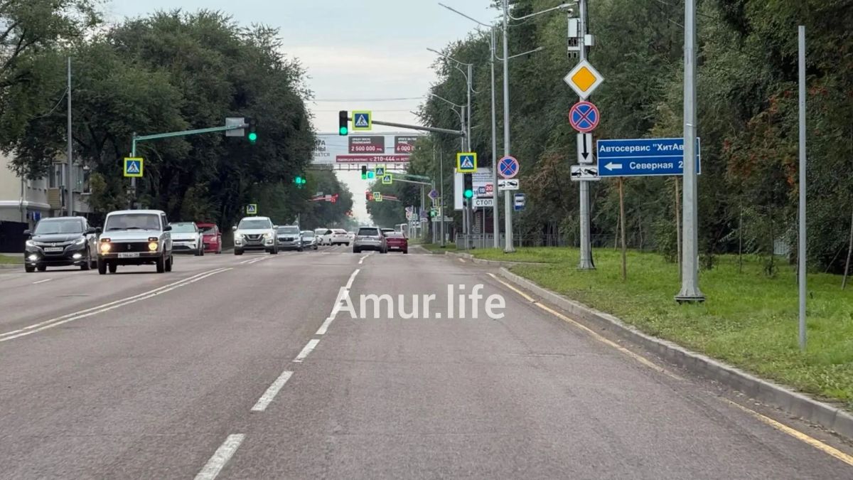 В воскресенье, 6 сентября, с улицы Горького и Калинина в Благовещенске исчезли недавно установленные лежачие полицейские В воскресенье, 6 сентября, с улицы Горького и Калинина в Благовещенске исчезли недавно установленные лежачие полицейские