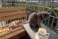 Чашка кофе, город за окном, и в голове план на неделю