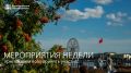 Встреча с Джеффри Монсоном, день красоты, парад студентов: на этой неделе в Благовещенске скучать не придётся