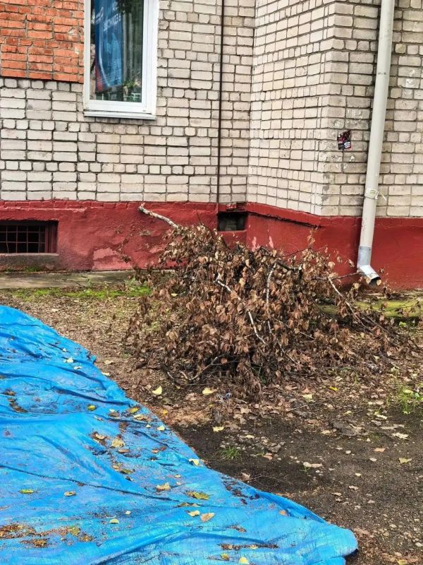 Государственной жилищной инспекцией Амурской области в отношении управляющей организации ООО «Жил-Комфорт» проведено контрольное (надзорное) мероприятие в виде выездной проверки (далее – КНМ) Государственной жилищной инспекцией Амурской области в отношении управляющей организации ООО «Жил-Комфорт» проведено контрольное (надзорное) мероприятие в виде выездной проверки (далее – КНМ)