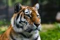 ������ �������� ���������� ��� �� 1 ������� ������ �� �������� �����