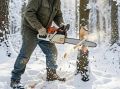 «Хотел обогреть дом». В Тамбовском муниципальном округе незаконная рубка лесных насаждений обернулась уголовным преследованием