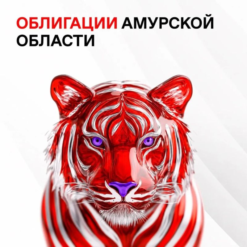 Народные облигации Амурской области 2026 года: главное о новом выпуске