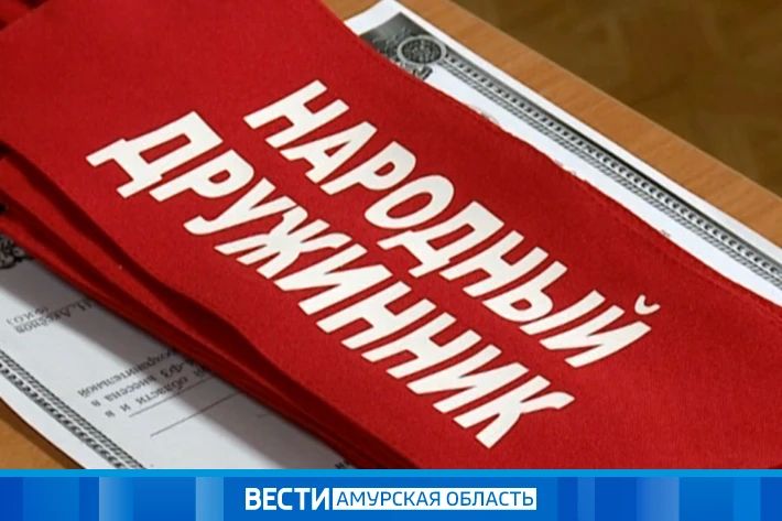 Народные дружины Приамурья: 820 рейдов, 49 протоколов и два раскрытых наркодела