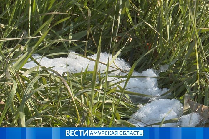 Мокрый снег на севере: прогноз погоды на 17 сентября в Приамурье