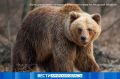 � ��������� ���������� ����������� ��������: � ������ ���� ���������� 25 ������� ��������