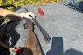 Двух браконьеров с тушами юных косуль поймали в Ивановском округе