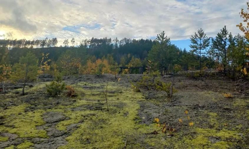 Самую теплую ночь за 19 лет и первый снег одновременно зафиксировали в Приамурье