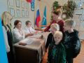 В Амуризбиркоме подсчитали явку: к 16:00 в регионе проголосовали 13,37% избирателей
