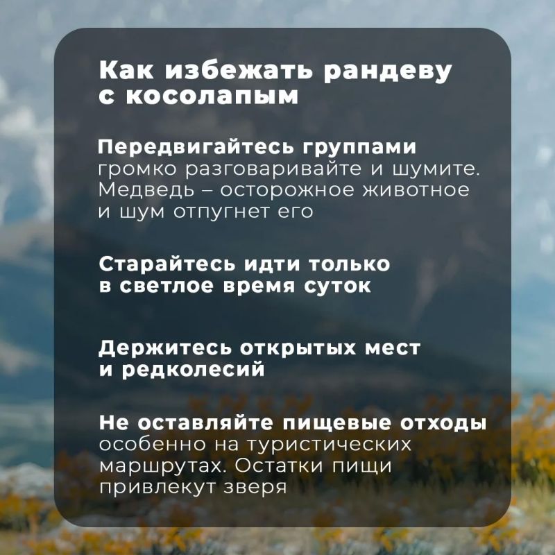 Специалисты амурского управления МЧС России напоминают о правилах безопасности при встрече с медведем в лесу Специалисты амурского управления МЧС России напоминают о правилах безопасности при встрече с медведем в лесу