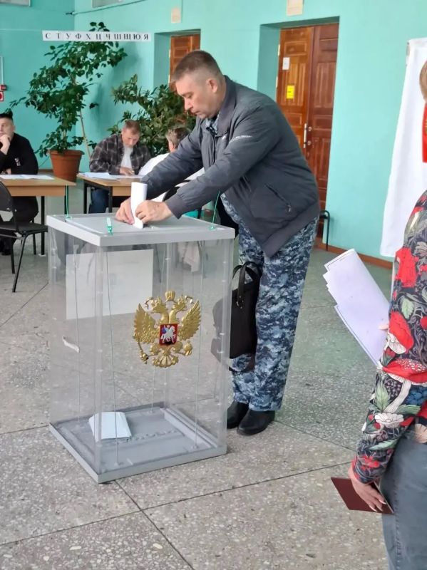 Приамурье голосует: явка 31,31% и истории с участков Приамурье голосует: явка 31,31% и истории с участков