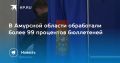 В Амурской области обработали более 99% бюллетеней