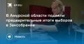 Выборы в Амурской области: предварительные итоги