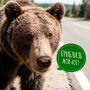 На дорогах Приамурья этой осенью уже не раз видели целые медвежьи семейства