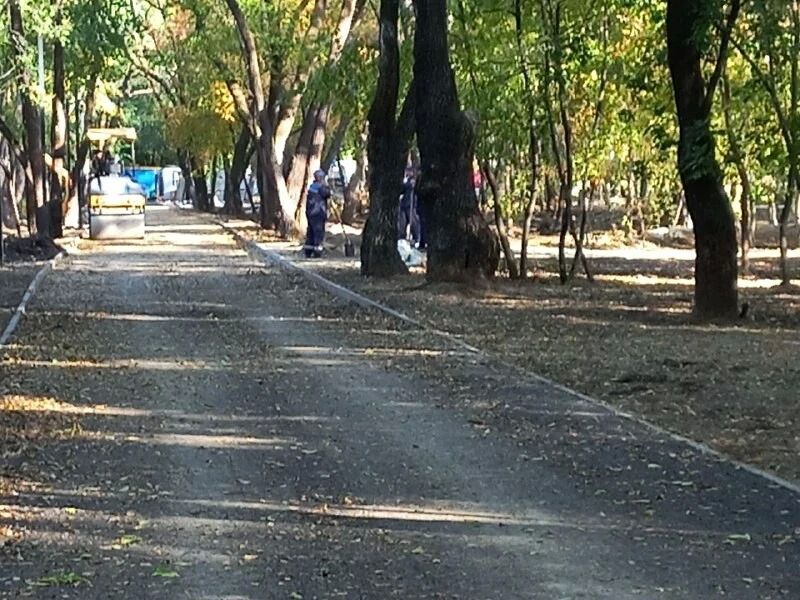 В амурской столице стала доступна для посетителей часть территории «Амурский лес», которую благоустраивают на месте бывшего сквера 40-летия ВЛКСМ, в народе более известного как «Сороконожка» В амурской столице стала доступна для посетителей часть территории «Амурский лес», которую благоустраивают на месте бывшего сквера 40-летия ВЛКСМ, в народе более известного как «Сороконожка»
