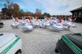 � ��������� ���������� ������� ������ ���������������� �������� ������ ������������� �����������