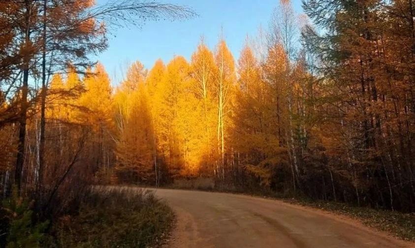 Прогноз погоды в Амурской области на 23 сентября (ПАЗЛ)