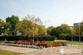 Благовещенск прощается с летними цветами