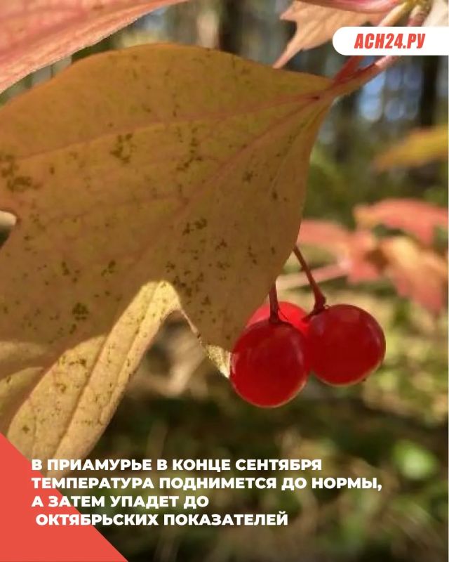 В Приамурье в конце сентября температура поднимется до нормы, а затем упадет до октябрьских показателей