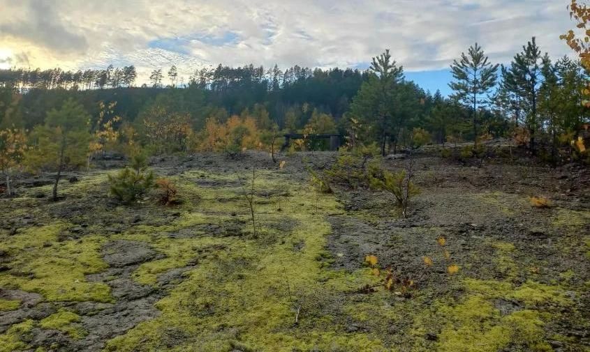 Прогноз погоды в Амурской области на 26 сентября (ПАЗЛ)