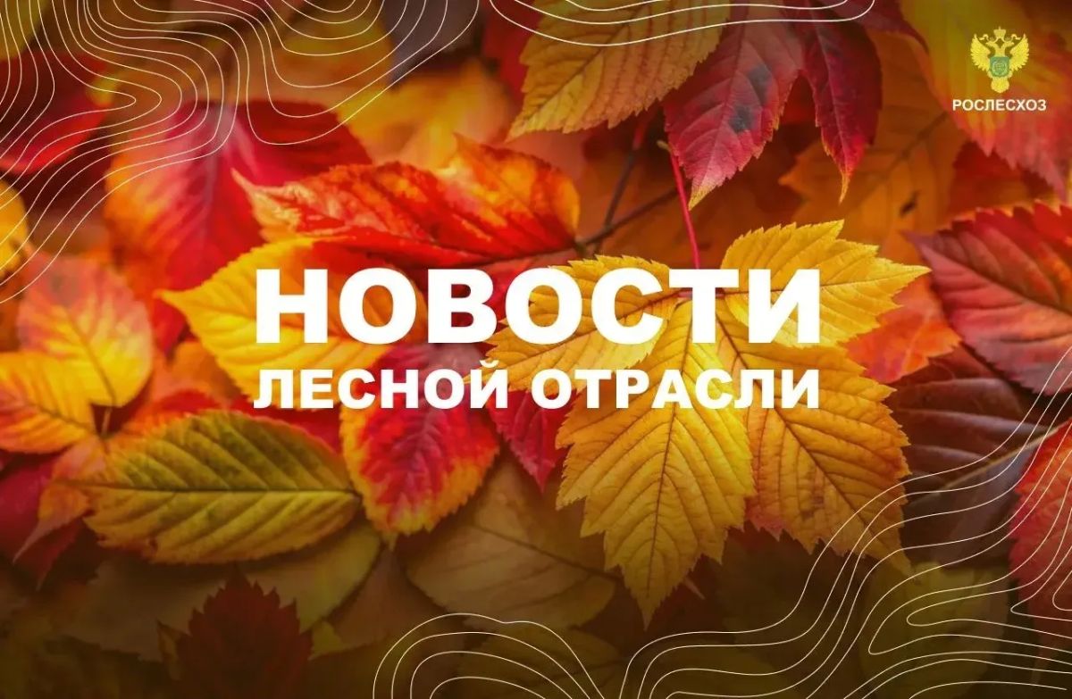 AK&M: Рослесхоз: регионам надлежит продолжить профилактику лесных пожаров