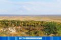 Небольшой дождь: прогноз погоды в Приамурье на 26 сентября