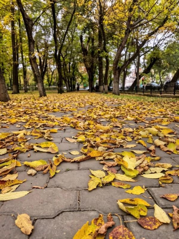 Вдохновляемся осенней порой в Благовещенске вместе с «28 на Амуре» Вдохновляемся осенней порой в Благовещенске вместе с «28 на Амуре»