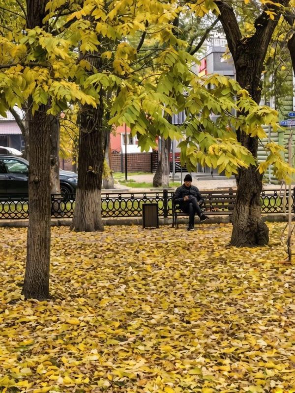 Вдохновляемся осенней порой в Благовещенске вместе с «28 на Амуре» Вдохновляемся осенней порой в Благовещенске вместе с «28 на Амуре»