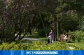 В Первомайском парке устроят праздник в честь окончания лета