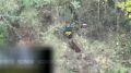 Омельник все ближе!. Несмотря на все потуги, которые предпринимает Нашубин, подразделения группировки войск "Восток" продолжают вклиниваться в оборону противника и шаг за шагом продвигаются в направлении ПГТ