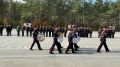 В Приамурье учащиеся профильных классов Следственного комитета России приняли присягу кадета
