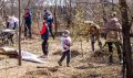 1 октября в Благовещенске стартует осенний этап акции «Город берегу»