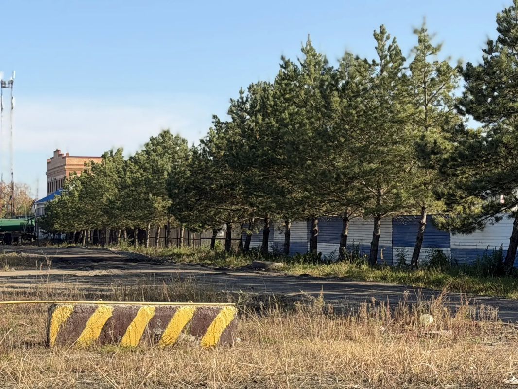 Провели выездное совещание на Новотроицком шоссе — одной из въездных магистралей города Провели выездное совещание на Новотроицком шоссе — одной из въездных магистралей города