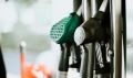 Из-за завышенных цен на бензин ФАС России возбудила против нефтяных компаний больше 50 дел