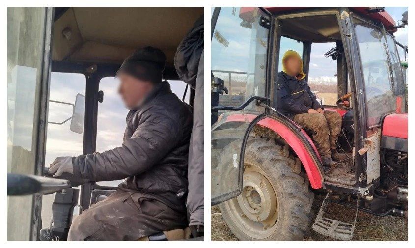 В Приамурье граждане Китая незаконно устроили на сельхозработы восемь своих соотечественников