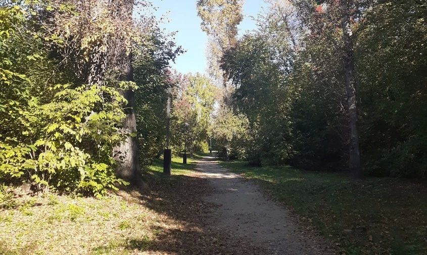 Прогноз погоды в Амурской области на 1 октября (ПАЗЛ)