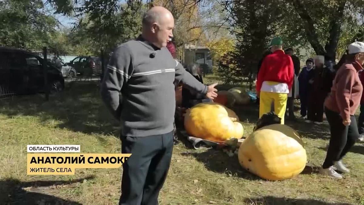Друзья, а вы знаете, что амурский минкульт — на 10м месте по стране и 1м на Дальнем Востоке по воспитательной работе? В Благовещенске открылась первая на Дальнем Востоке модельная библиотека «Диалог», а в Сергеевке прошел...