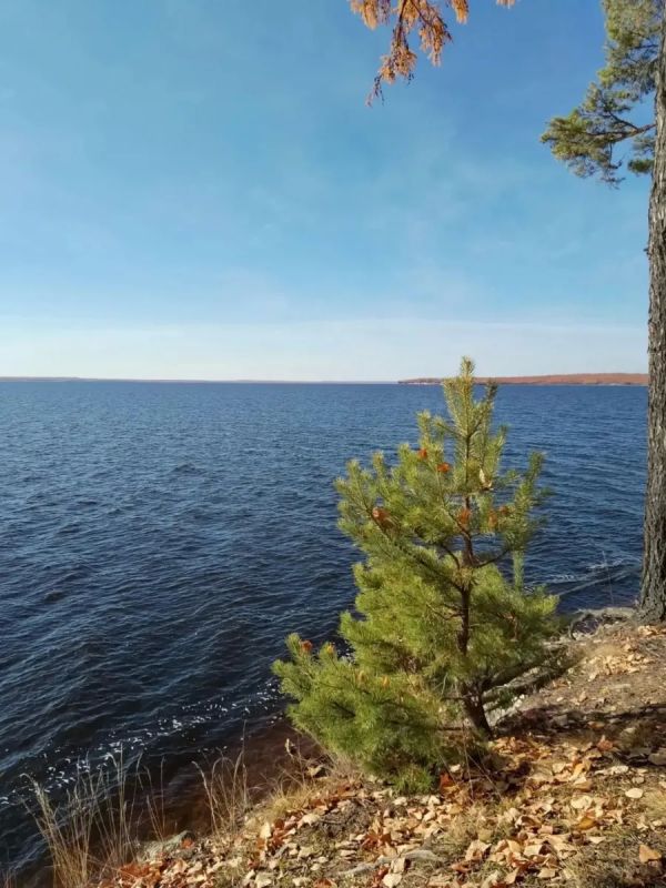 Яркая осень на севере Амурской области Яркая осень на севере Амурской области