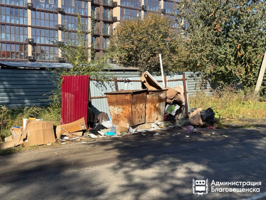 В Благовещенске провели мониторинг контейнерных площадок В Благовещенске провели мониторинг контейнерных площадок